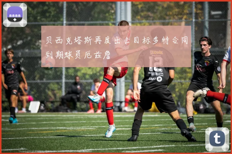 贝西克塔斯再度出击目标多特合同到期球员厄兹詹