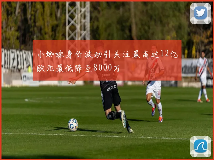 小蜘蛛身价波动引关注最高达12亿欧元最低降至8000万